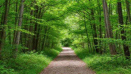 Randonnée en Corrèze : les plus belles balades faciles