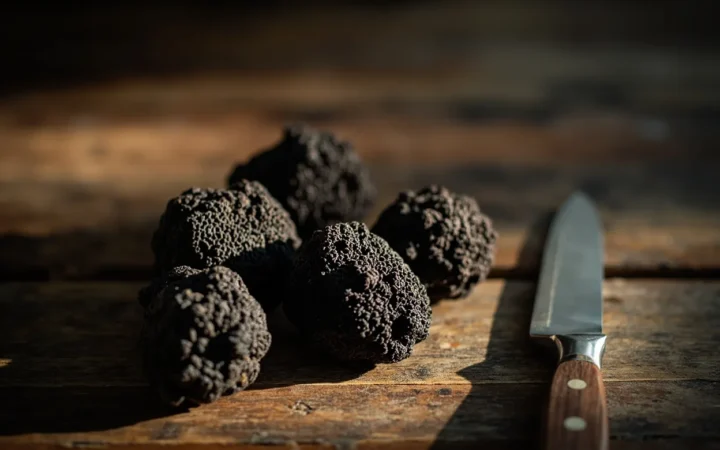 Truffe noire du Périgord : guide du diamant noir